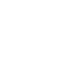 Multiformitate: